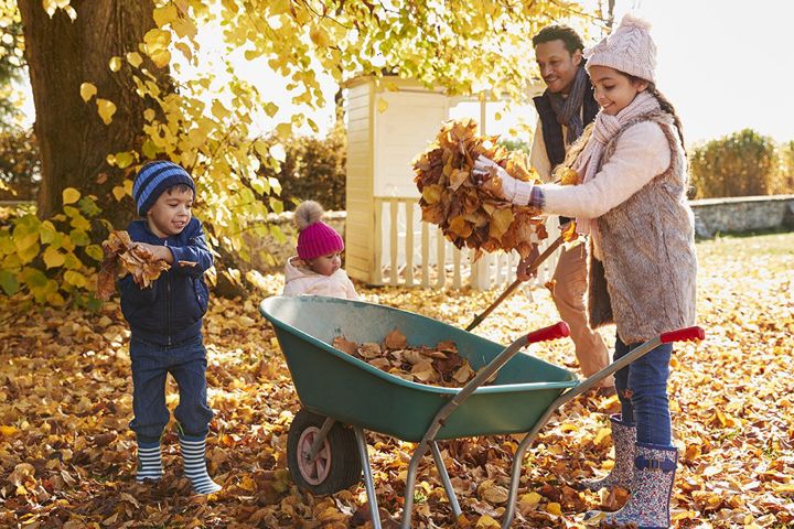 Fall yard safety: 3 tips to avoid injuries