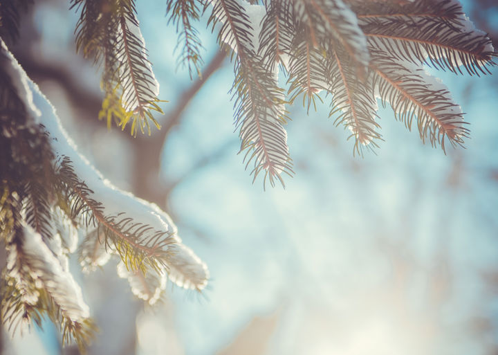 Winter blunderland: 3 avoidable wintertime urgent care visits