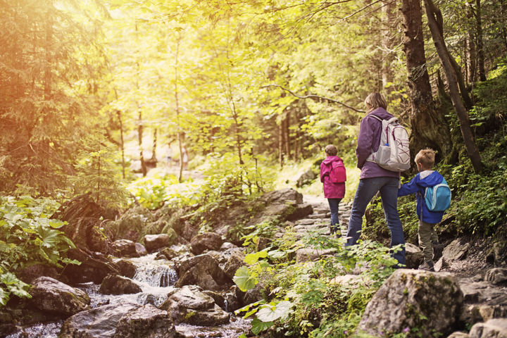 Campfire safety: Tips for preventing injuries