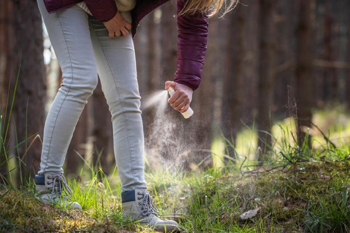 Happy summer…and welcome to tick season